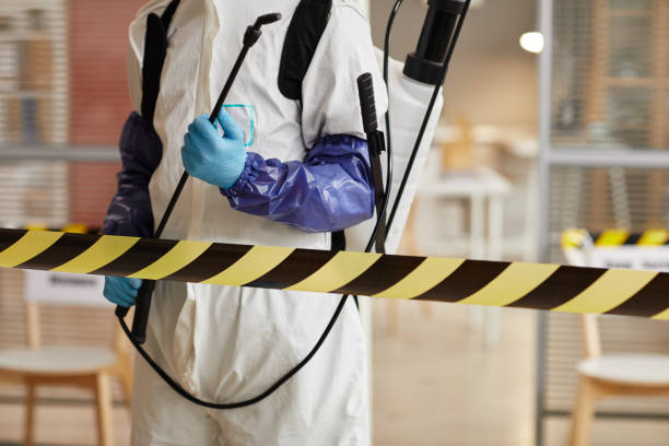 Professional Biohazard technician working in Walsh, IL